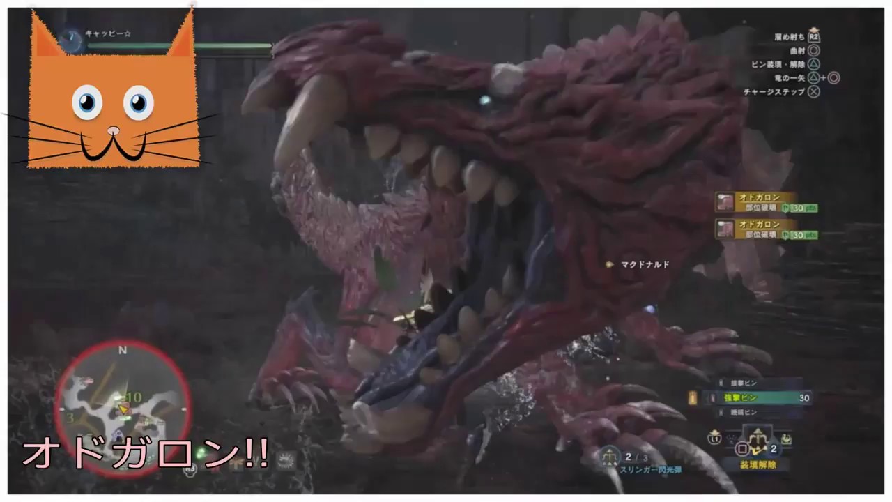 Mhw オドガロンの弓での攻略法 ソロ 弱点 立ち回り モンハンワールド Youtube