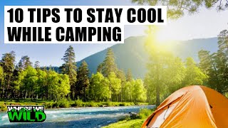 10 TIPS to STAY COOL while CAMPING