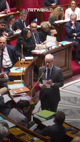 French MP raises Palestinian flag during parliament session