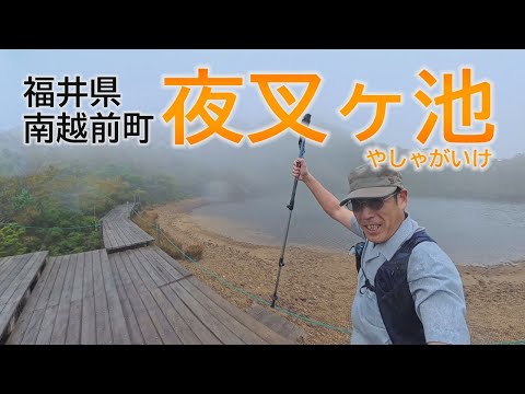 秋の夜叉ヶ池登山(福井県南越前町)