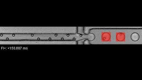 Detecting droplets with encapsulated cells