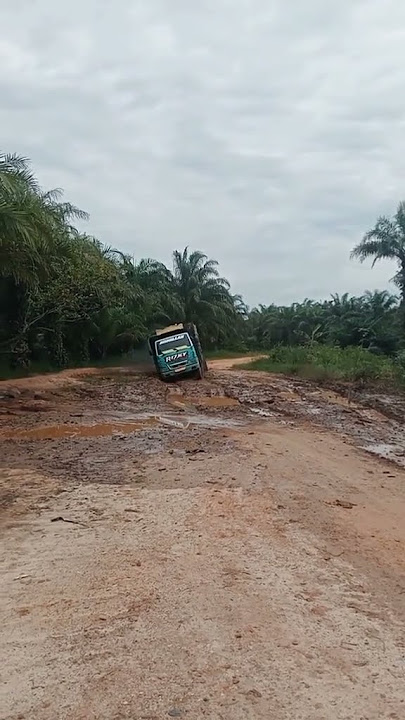 truck sawit offroad #fypシ゚viral #cantermaniaindonesia #trendingsound #shortsvideo #storywa #driver