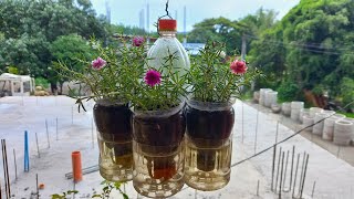 DIY Hanging Self Watering Plant From Recycled Plastic Bottles