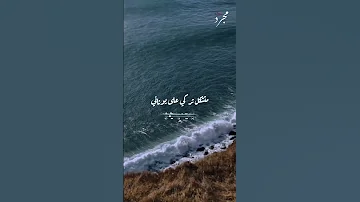 يا دلعك ياللي مدلعهم 