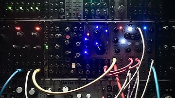 4ms DLD, Rings- ‘Think First’- RtB