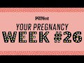 Your pregnancy 26 weeks