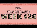 Your pregnancy: 26 weeks