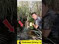 What fish was found deep in the jungle?🐟#viralvideo #facts #fishinggear #fishinglife #fish