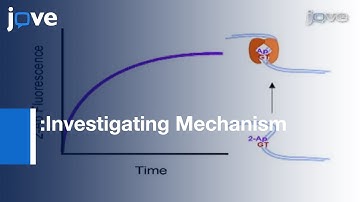 Application: Stopped-Flow Kinetics Methods: Action Of DNA Repair Protein l Protocol Preview