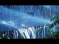 Deep Sleep Rain | Tropical Rain & Heavy Thunderstorm for Peaceful Night Sleep