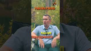 Секрет Острого Обоняния У Карпа И Собак Рыбалка И Наука #shorts