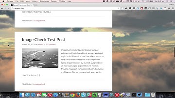 Video background in WordPress