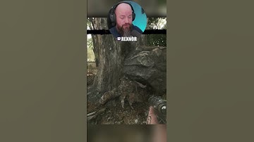 EXTREME 1HP 1v3 Clutch! #huntshowdown #gaming #pvp