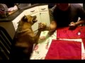 Guiles theme goes with everything  arm wrestling dog