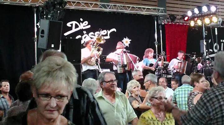 die elsasser