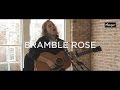 Capture de la vidéo Tift Merrit - "Bramble Rose"