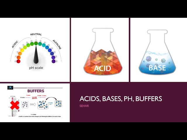 Acid and Base, Acids, Bases & pH