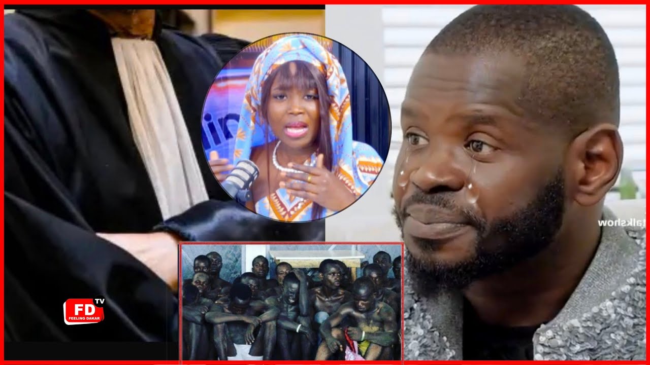 Dernière minute l'avocat de Pape Cheikh Diallo se prononce :Bessel lâche une exclusivité