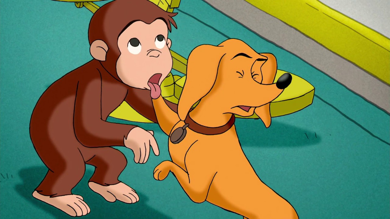 Kuninkaallinen Koiranen 🐵Utelias Vili 🐵Kausi 2 🐵Piirretyt 🐵Videot Lapsille