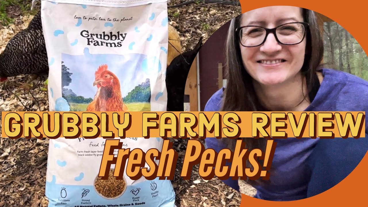 Grubbly Farms Feed Review! 🐔 Fresh Pecks Chicken Pellets 😋 Backyard