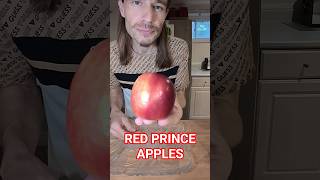 Tasting Red Prince Apple 🍎 #fruit #fruits #fruitarian