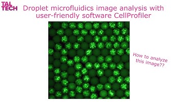 Droplet microfluidics image analysis with user-friendly software CellProfiler
