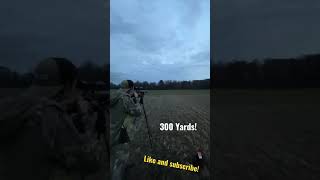 300 Yards With A 243 On The First Try Ill Take It Any Day