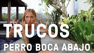 Tutorial perro boca abajo  Todos los trucos  Lucía Liencres yoga