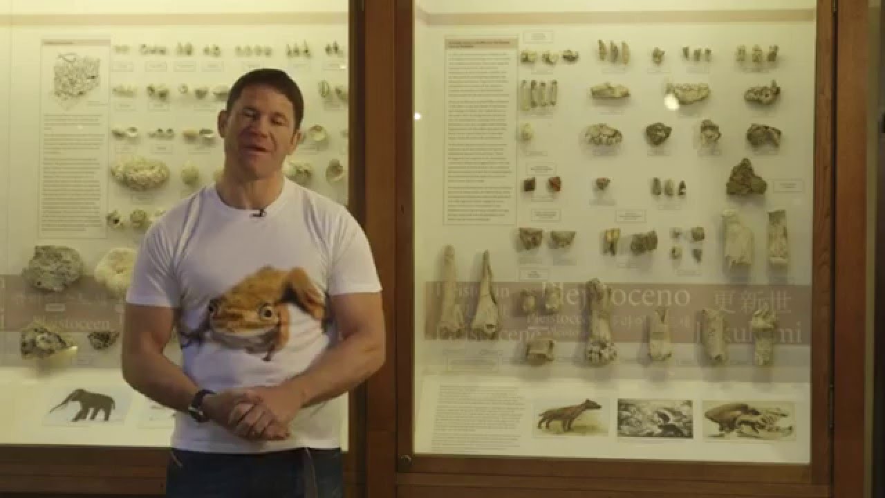 camera iphone 8 plus apk Hyaenas in Yorkshire!