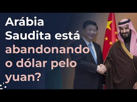 Vídeo: Quais países não usam o petrodólar?