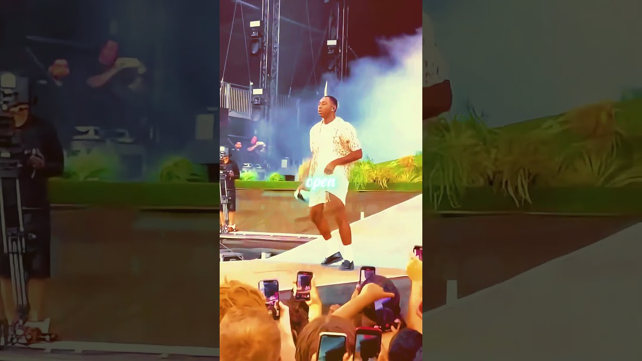 TYLER THE CREATOR Live Performance Shocks The Crowd Must Watch Moment 