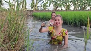 Nghe Tiếng Chó Sủa Tức Tốc Chạy Ra Phát Hiện Con Này Trong Hang | Trúc Phương Vlog - Hunting Snakes