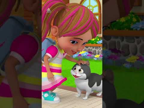 Billi Karti Meow Meow, म्याऊं म्याऊं बिल्ली करती, Farm Animals Song #kidssongs #shortvideo #trending