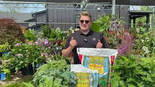 South Street Gardens Testimonial