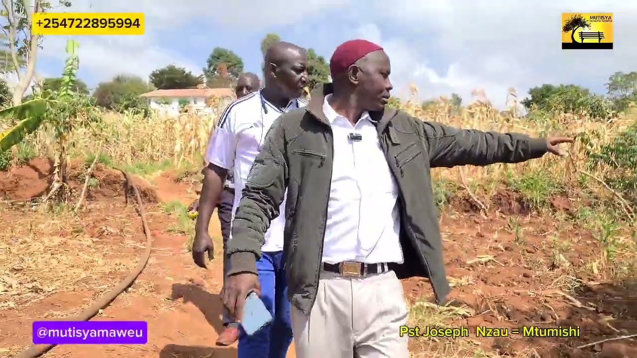 Mtumishi still harvesting despite drought which affected many farmers in kambaland