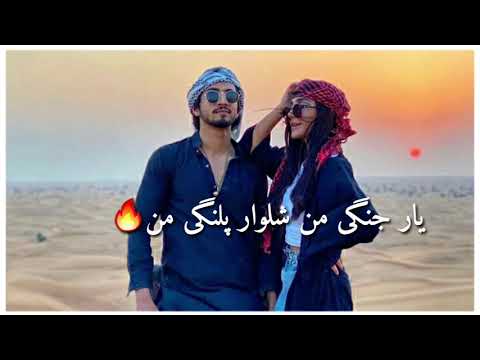 یار جنگی من شلوار پلنگی من🔥New mast irani song || Afghanistan ||Must watch it 👌 with lyrics