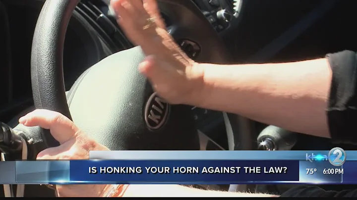 Woman receives $72 ticket after honking her horn a...