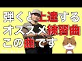 ソロウクレレ「ネコ踏んじゃった」で上達!ウクレレが上手くなる要素が盛りだくさんのウクレレレッスン