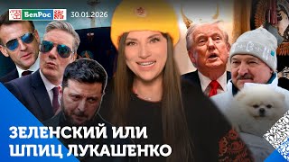 Зеленский Завидует Собаке Умке Стармер Высмеял Макрона В Нато - Кризис Управления