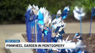 Advocates and community leaders plant pinwheel garden