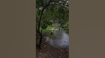 سورة المطففين (الآية 4-6) - الشيخ / محمد صديق المنشاوي . #المنشاوي #سورة_المطففين  #قرآن #quran