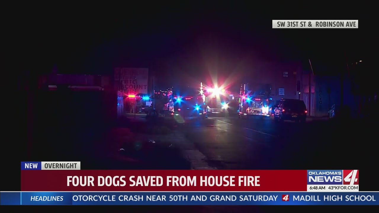 Four dogs rescued from house fire in south Oklahoma City - YouTube