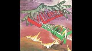 The Vulcans - Star Trek