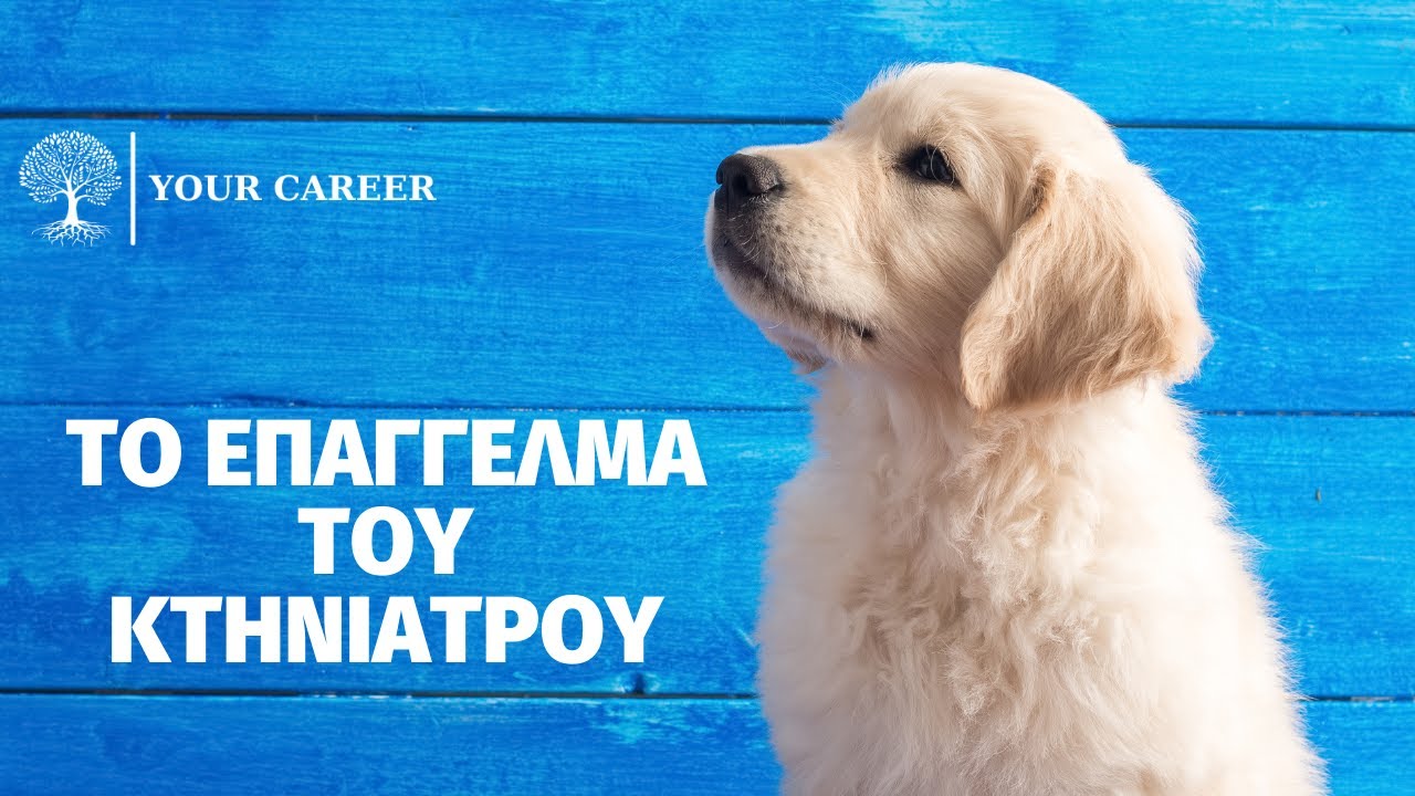 YOUR CAREER, ΤΟ ΕΠΑΓΓΕΛΜΑ ΤΟΥ ΚΤΗΝΙΑΤΡΟΥ