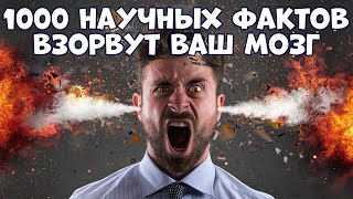 1000 НАУЧНЫХ ФАКТОВ, КОТОРЫЕ ВЗОРВУТ ВАШ МОЗГ screenshot 3