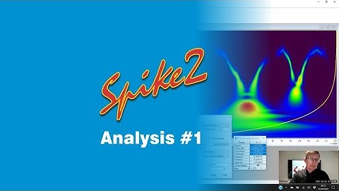 Spike2 Analysis #1 2021