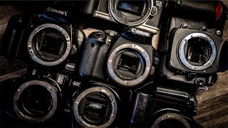 Why Old Entry Level DSLRs?