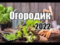 Огород 2022/Успехи и неудачи/Планы на осень