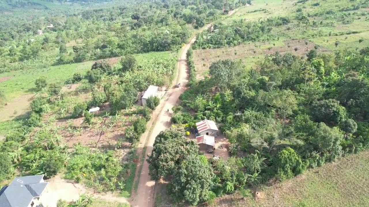 kyanuna 100 by 50ft plots now available at only eight million uganda shillings