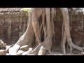 CAMBODIA - Angkor Wat Temples